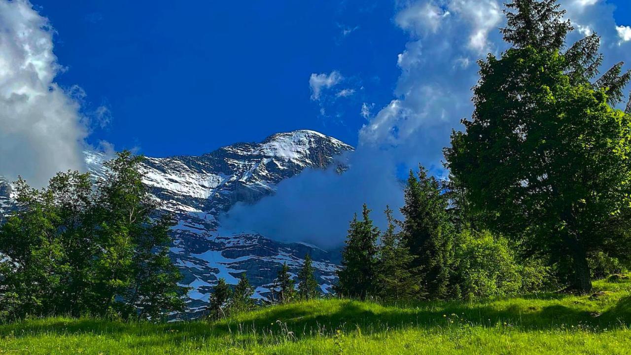 Romantisches Plaetzchen In Der Natur Grindelwald Ngoại thất bức ảnh