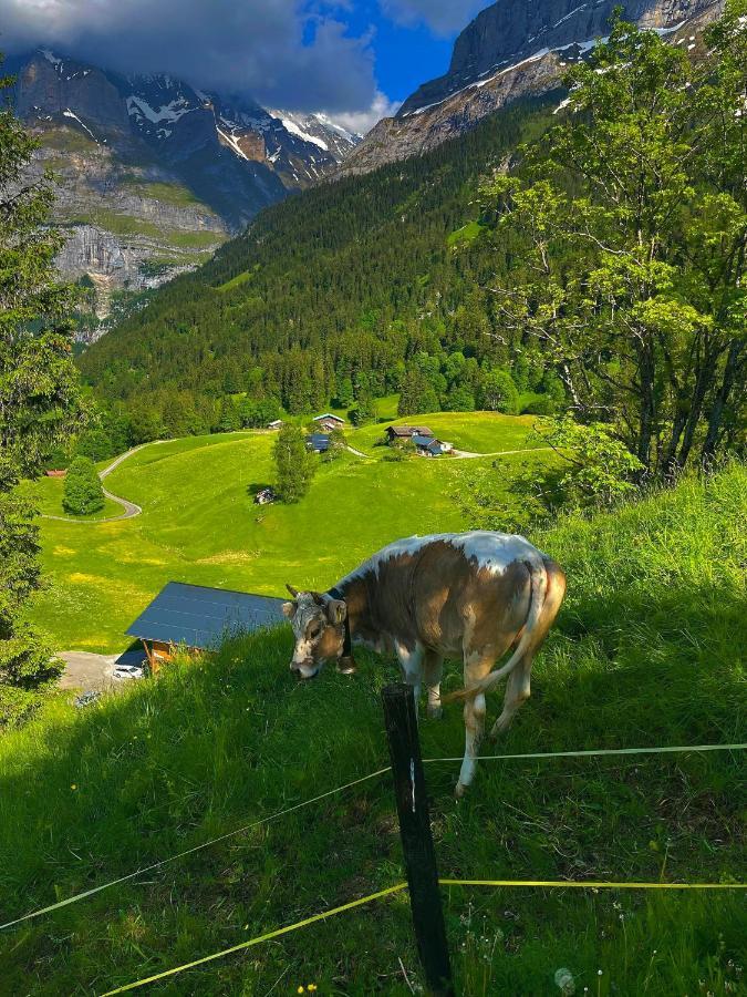 Romantisches Plaetzchen In Der Natur Grindelwald Ngoại thất bức ảnh