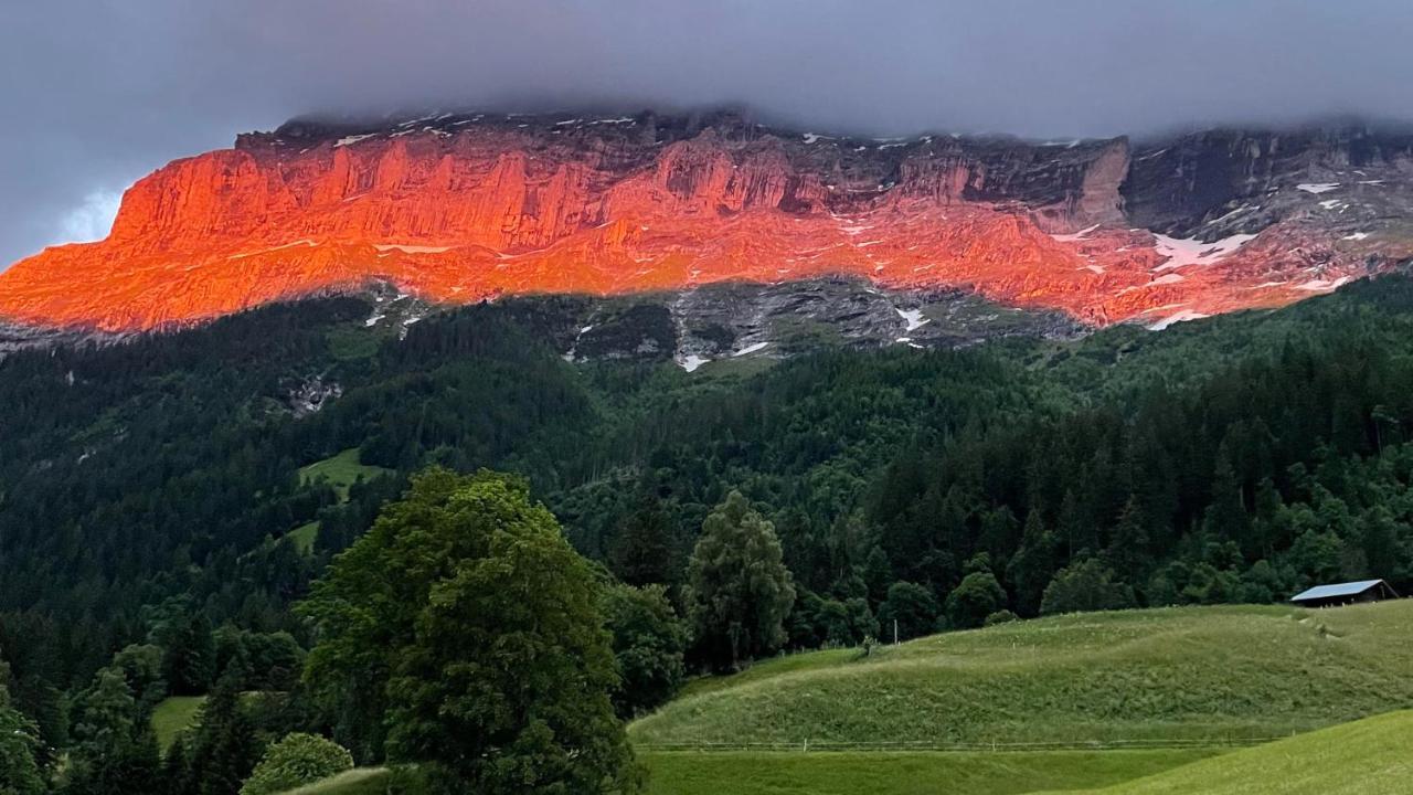 Romantisches Plaetzchen In Der Natur Grindelwald Ngoại thất bức ảnh