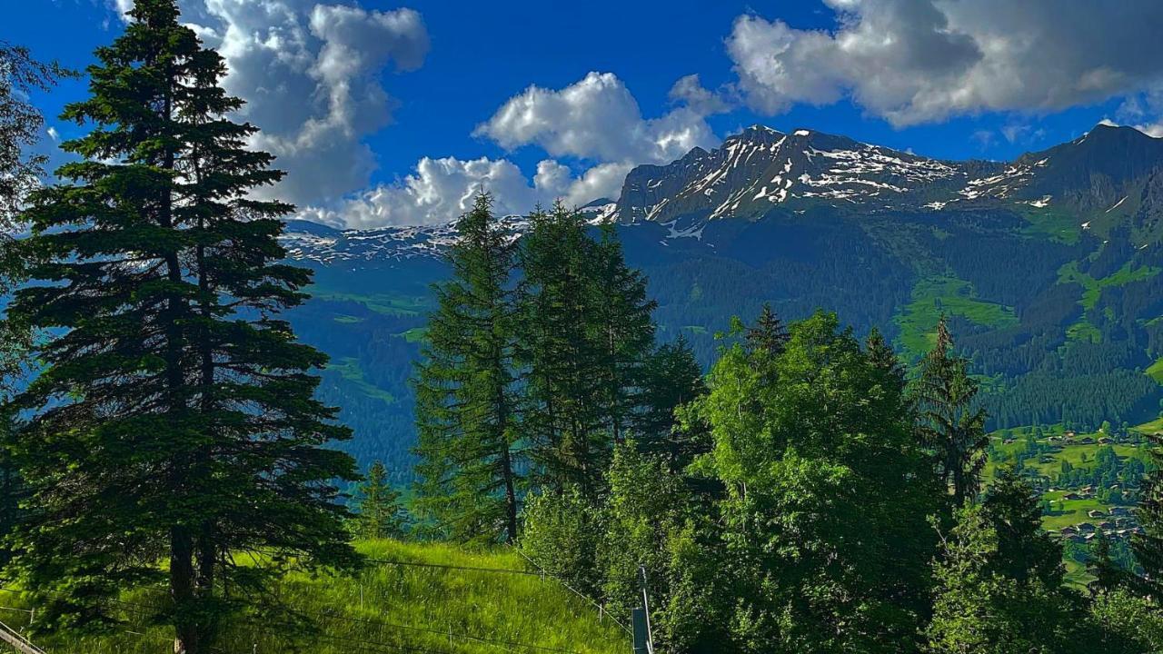 Romantisches Plaetzchen In Der Natur Grindelwald Ngoại thất bức ảnh