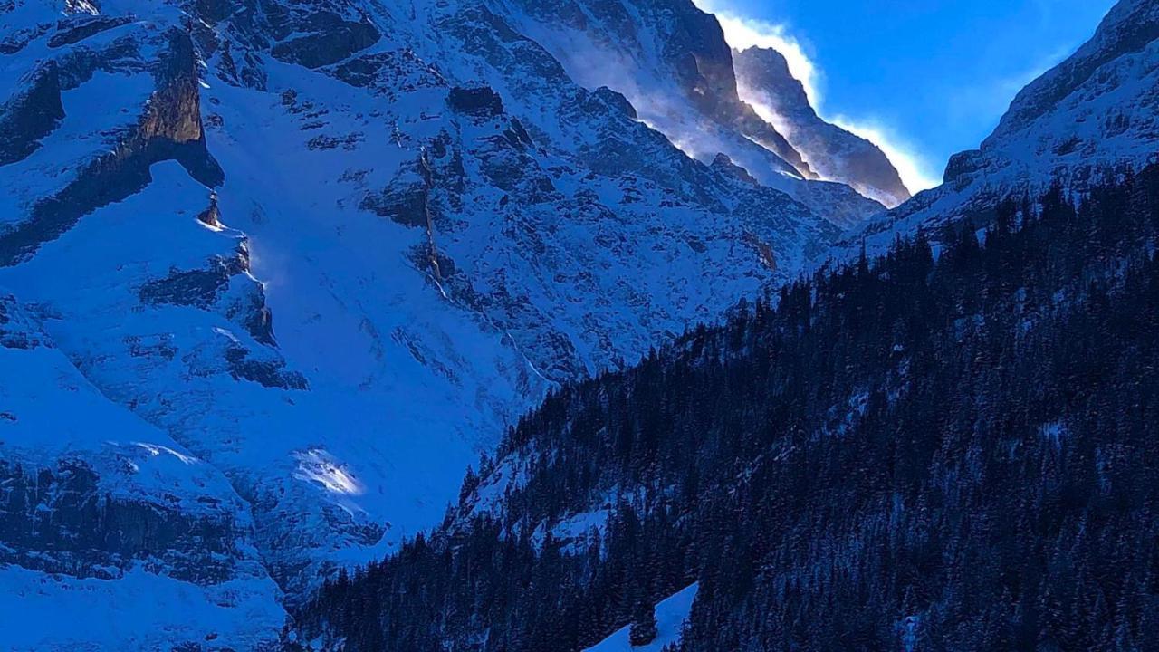 Romantisches Plaetzchen In Der Natur Grindelwald Ngoại thất bức ảnh