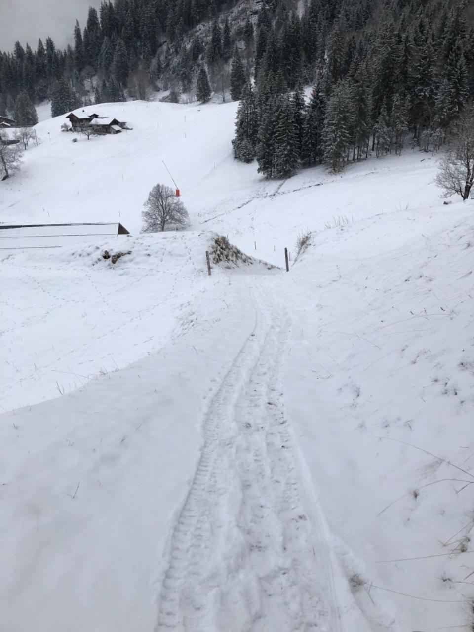 Romantisches Plaetzchen In Der Natur Grindelwald Ngoại thất bức ảnh