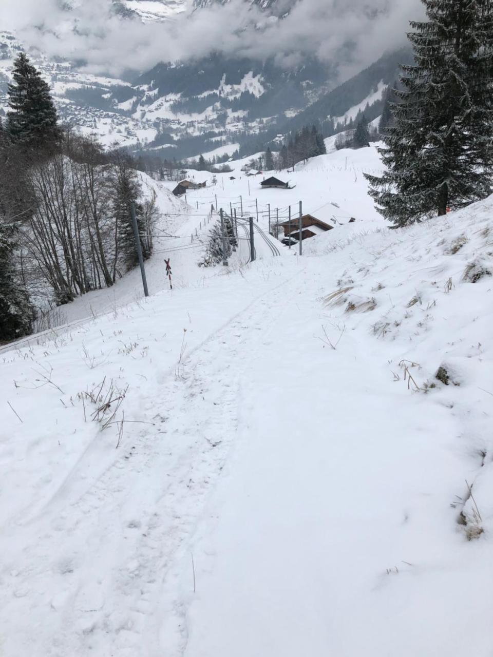 Romantisches Plaetzchen In Der Natur Grindelwald Ngoại thất bức ảnh