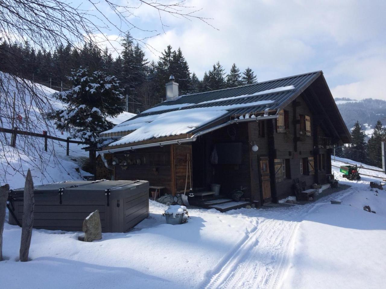 Romantisches Plaetzchen In Der Natur Grindelwald Ngoại thất bức ảnh