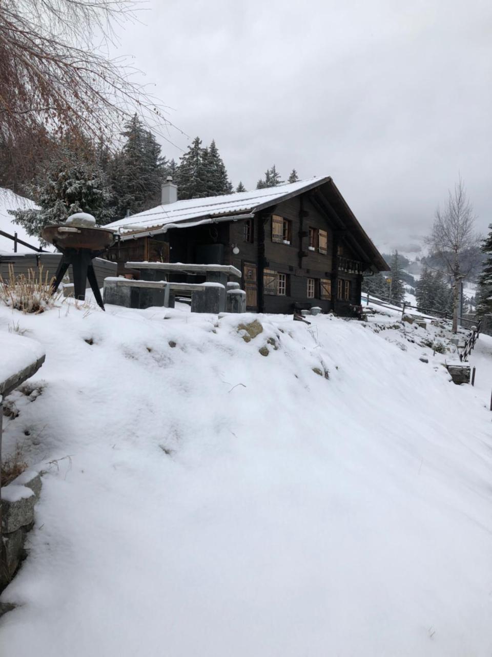 Romantisches Plaetzchen In Der Natur Grindelwald Ngoại thất bức ảnh