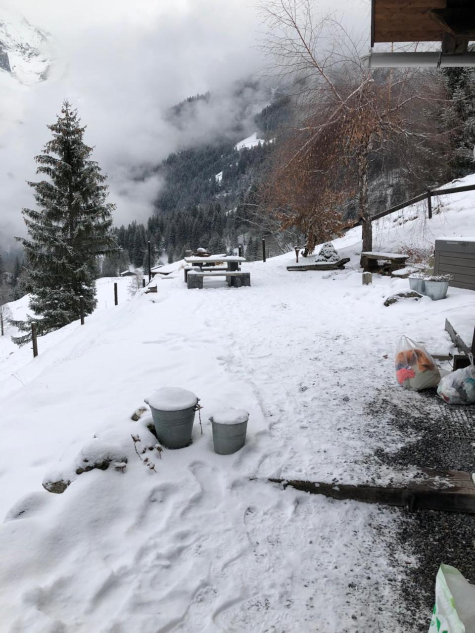 Romantisches Plaetzchen In Der Natur Grindelwald Ngoại thất bức ảnh