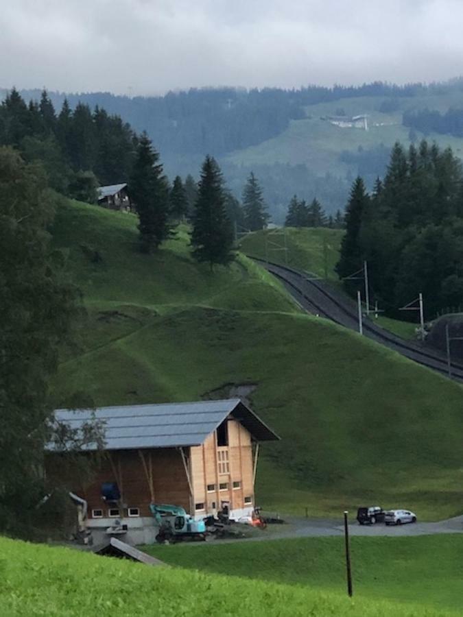 Romantisches Plaetzchen In Der Natur Grindelwald Ngoại thất bức ảnh